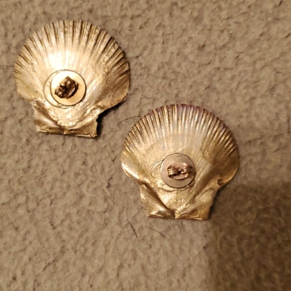 Scallop Shells - Picture 3 of 4